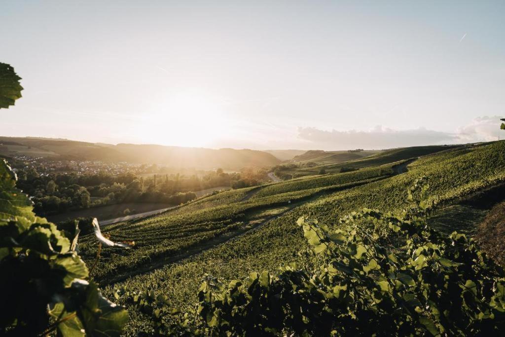 Weingut Und Gaestehaus Holger Alt Monzingen Экстерьер фото