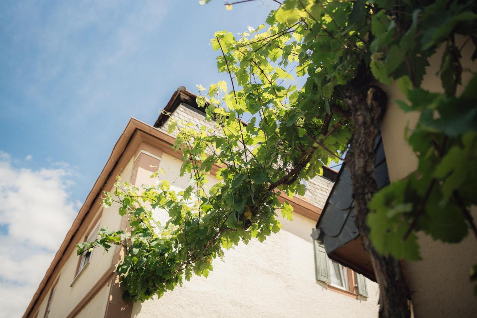Weingut Und Gaestehaus Holger Alt Monzingen Экстерьер фото